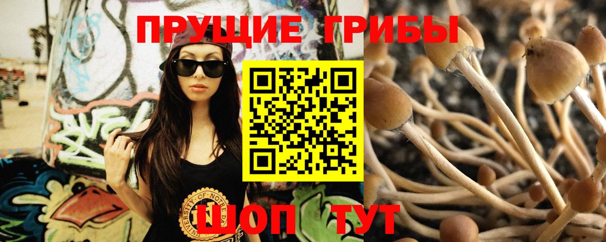 Псилоцибиновые грибы прущие грибы Кострома