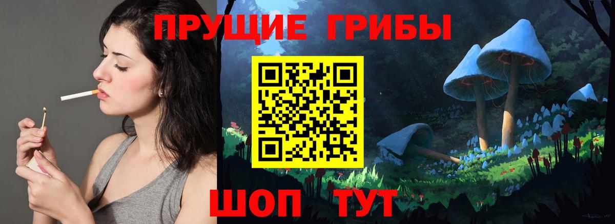 Галлюциногенные грибы Magic Shrooms  что такое наркотик  Вход с VPN  Кострома  Галлюциногенные грибы Cubensis 